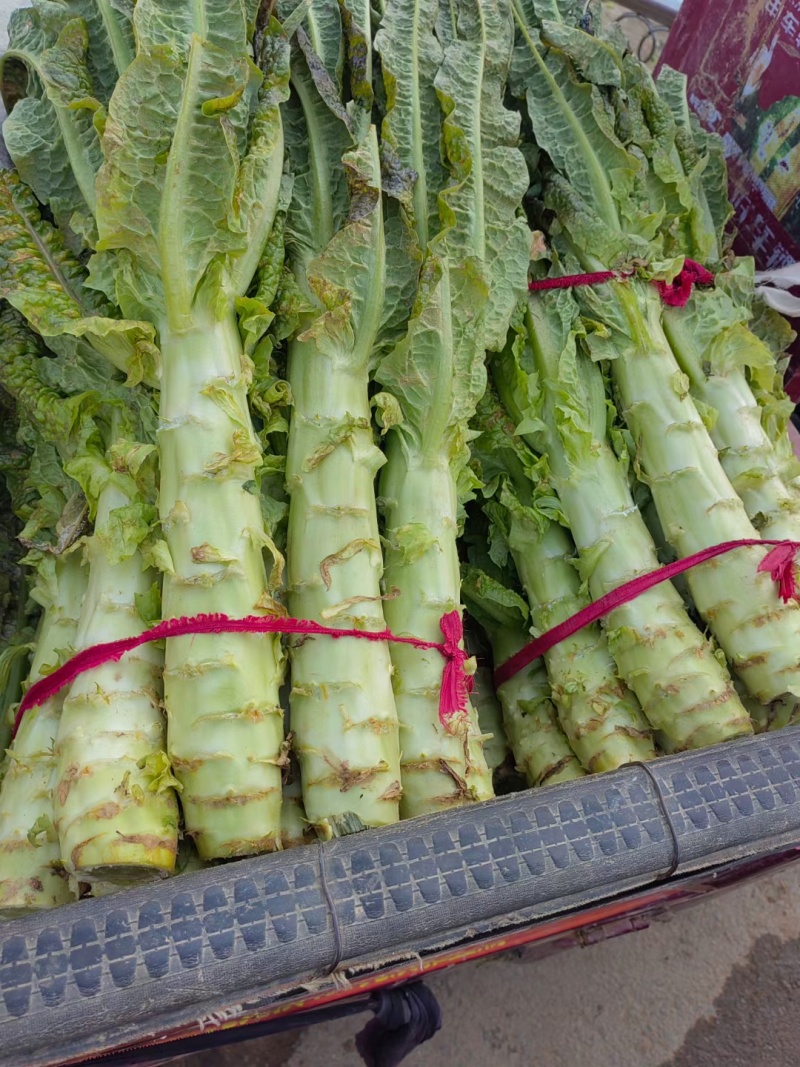 万亩蔬菜基地精品莴笋大量供应市场、电商、超市