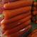 精品热卖中三红胡萝厦门红萝卜大量有货，电商，商超，市场