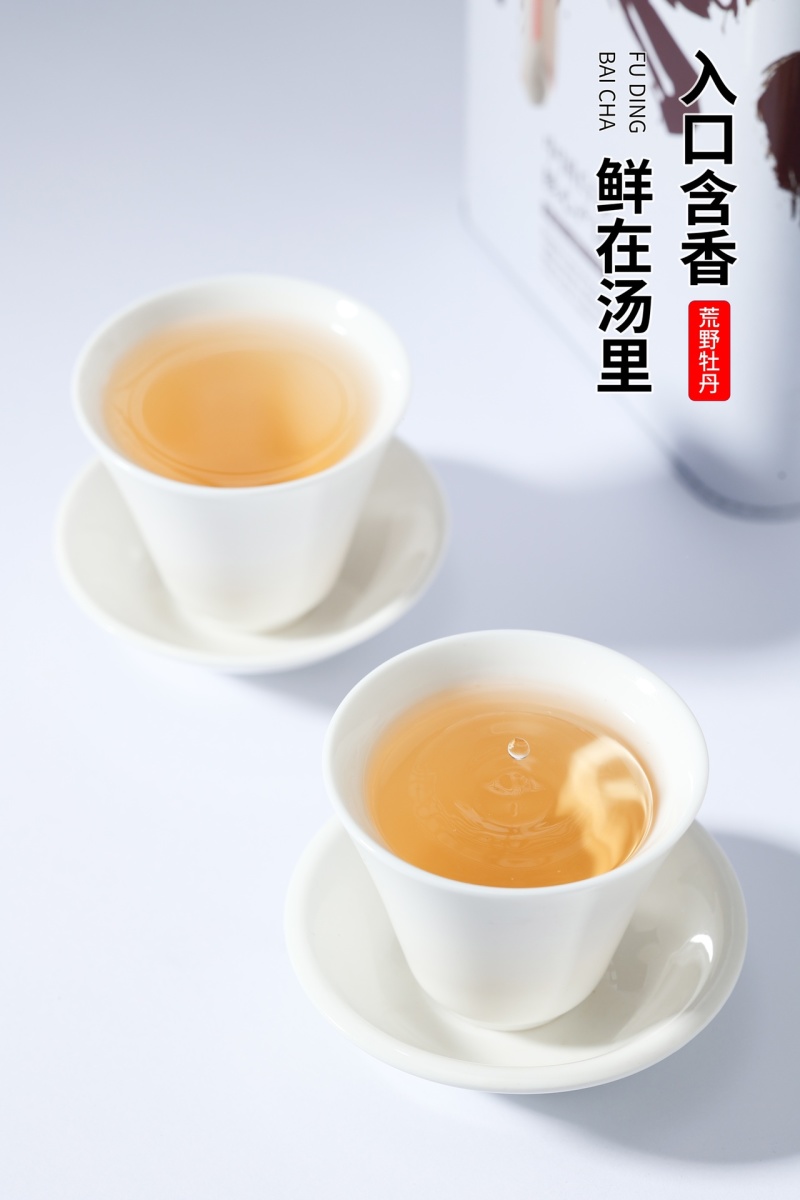 福鼎白茶白牡丹荒野花香白牡丹礼盒装茶农直销源