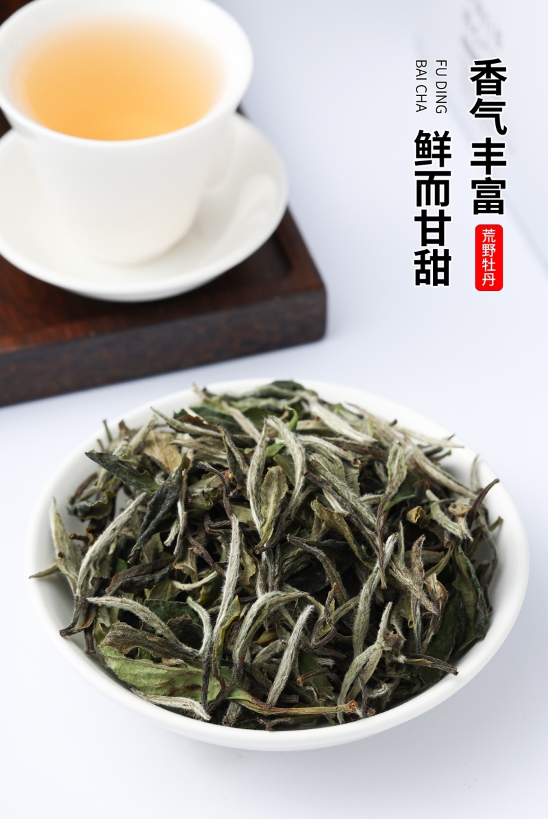 福鼎白茶白牡丹荒野花香白牡丹礼盒装茶农直销源