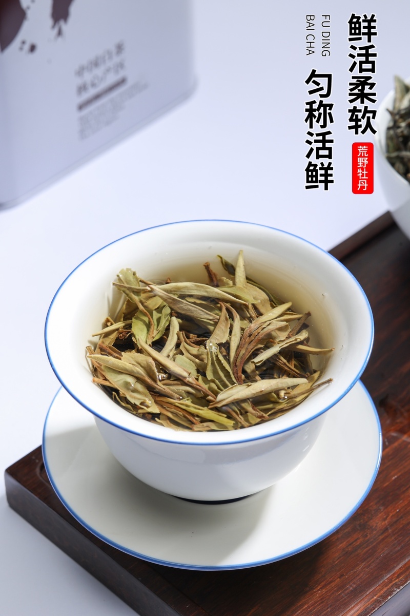 福鼎白茶白牡丹荒野花香白牡丹礼盒装茶农直销源