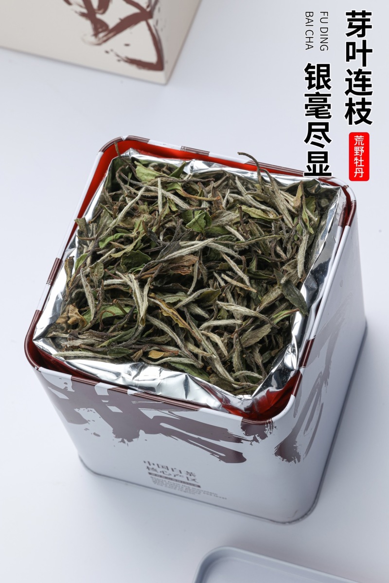 福鼎白茶白牡丹荒野花香白牡丹礼盒装茶农直销源
