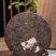 2008年老班章熟茶饼云南勐海七子饼茶茶叶批发357g