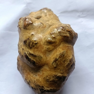 羊结石
