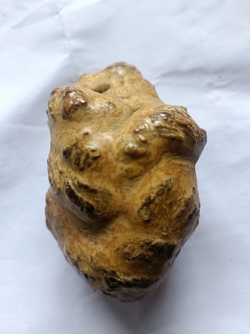 羊结石