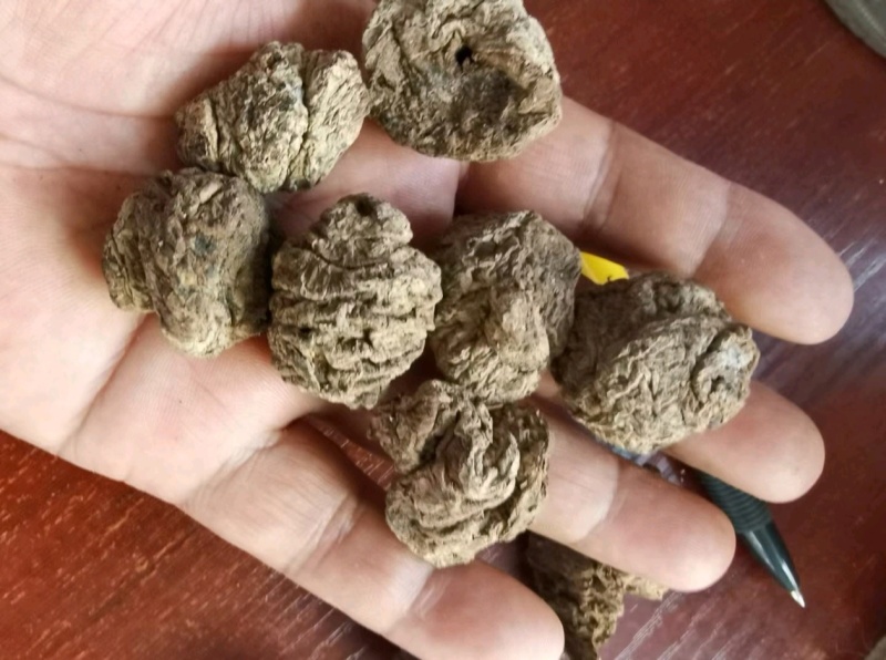 生地圆身个一级质量实体百万销量售后无忧