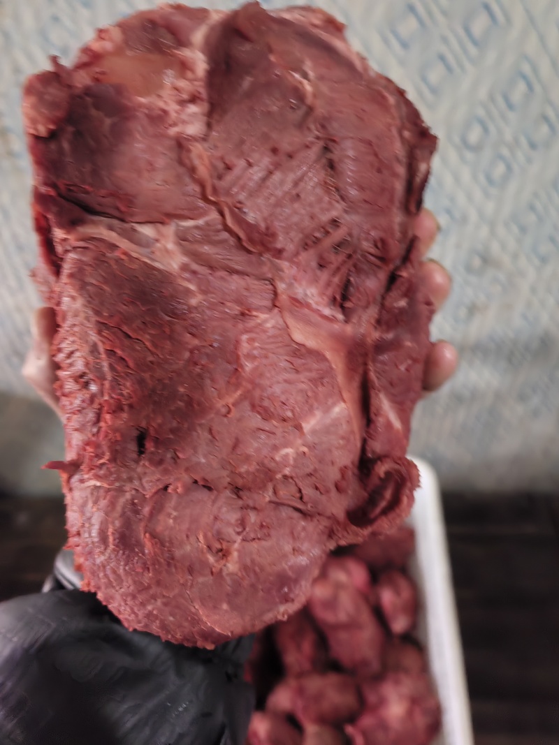 五香牛肉味，长腱，块肉，腱子肉，八九成熟，量大从优