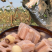 粉藕汤正宗仙桃美食商用整箱藕汤成品藕汤整箱批发