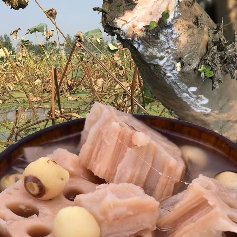 粉藕汤正宗仙桃美食商用整箱藕汤成品藕汤整箱批发