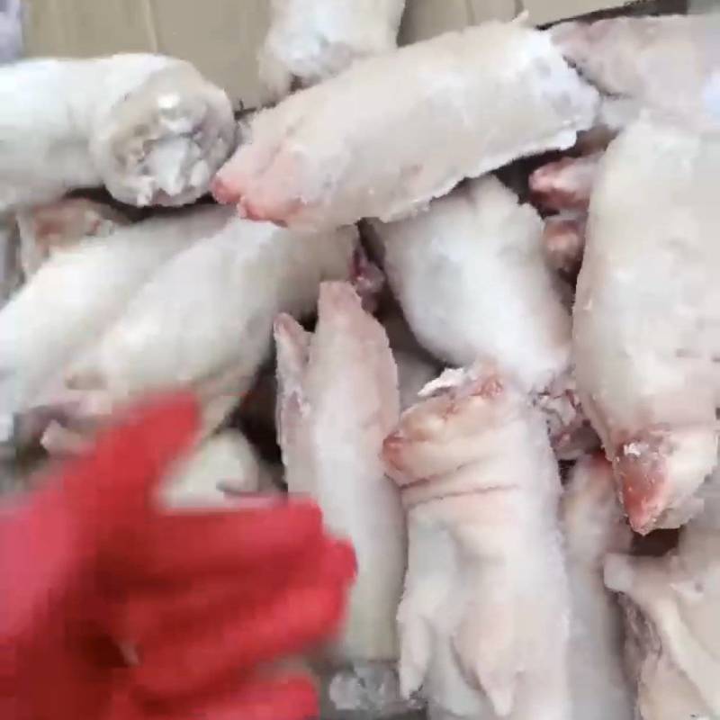 猪蹄上架