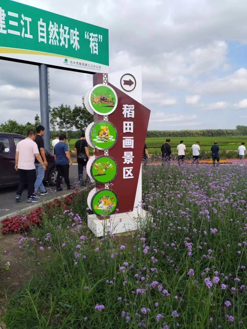 【稻花香系列大米】东北水稻之乡，黑龙江自家农场自产自销