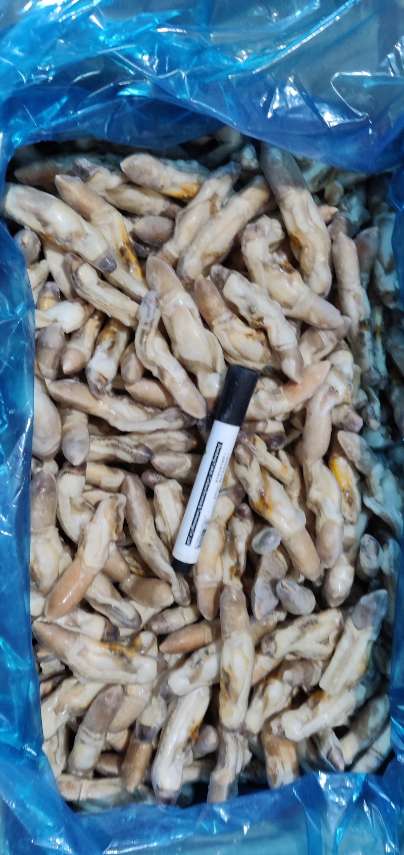 江苏连云港全国发货欢迎咨询实地看货去沙蛏王肉