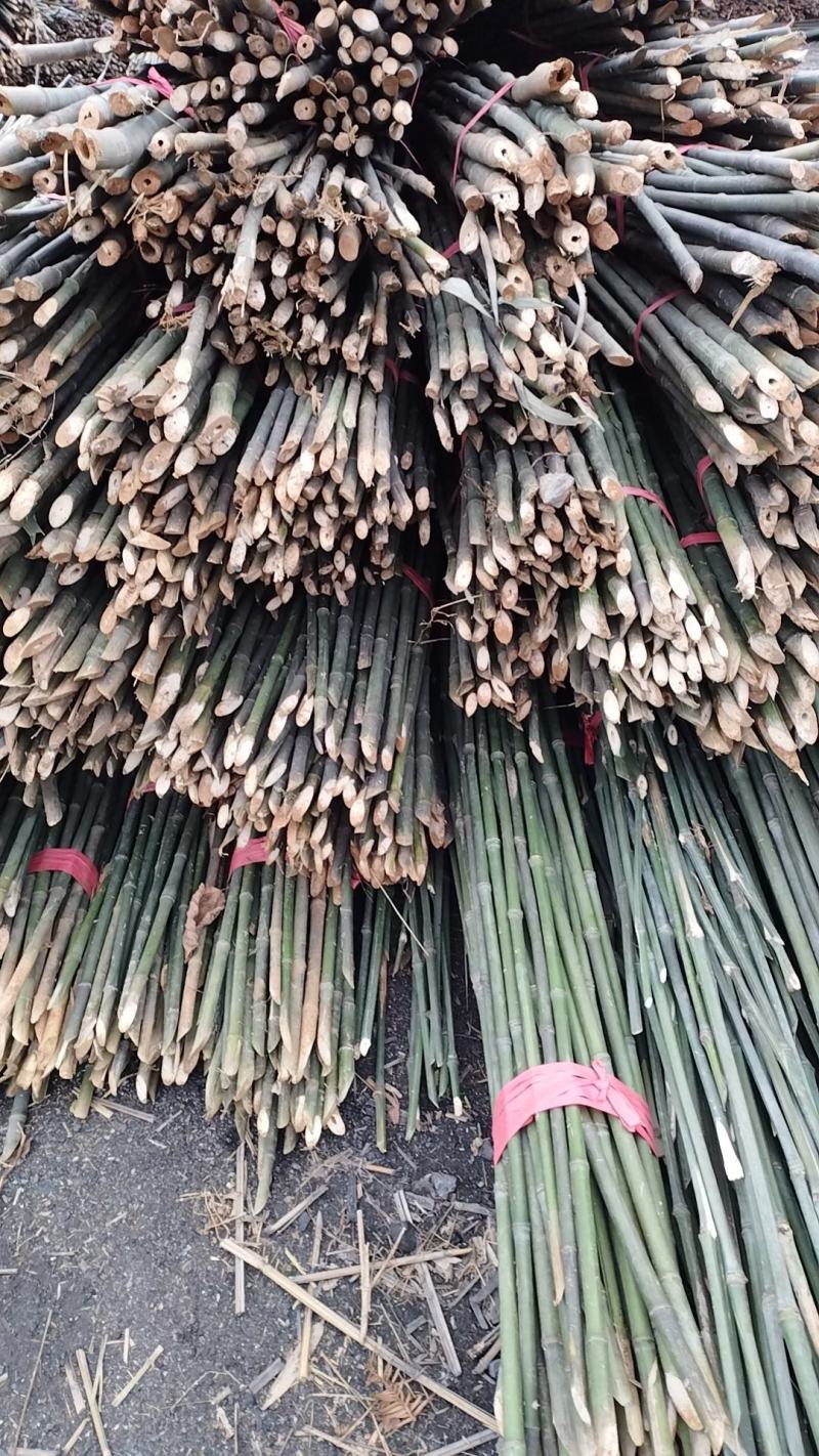 2.5米实心竹豆角架黄瓜西红市辣椒茄子等专用竹竿