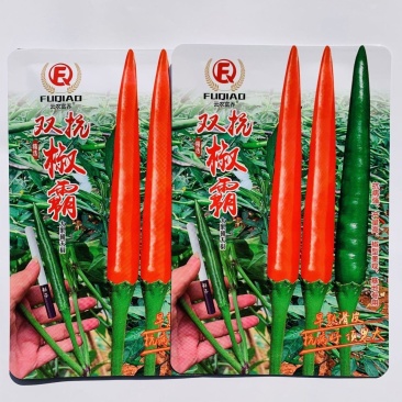 双抗椒霸朝天椒种子大果早熟滑皮椒种子青红两用尾果大硬度好