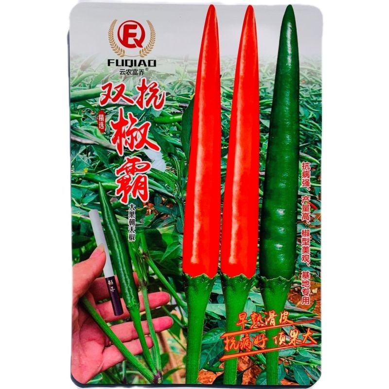 双抗椒霸朝天椒种子大果早熟滑皮椒种子青红两用尾果大硬度好