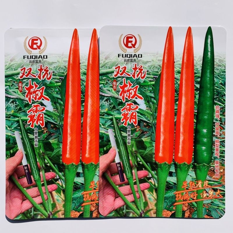 双抗椒霸朝天椒种子大果早熟滑皮椒种子青红两用尾果大硬度好
