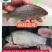 鲫鱼苗,支持全国各地发货,量大从优,包邮包活