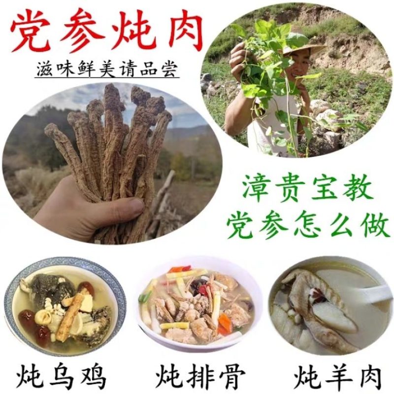 【真野生】甘肃原产地深山正宗特级纹党参手工干货整条