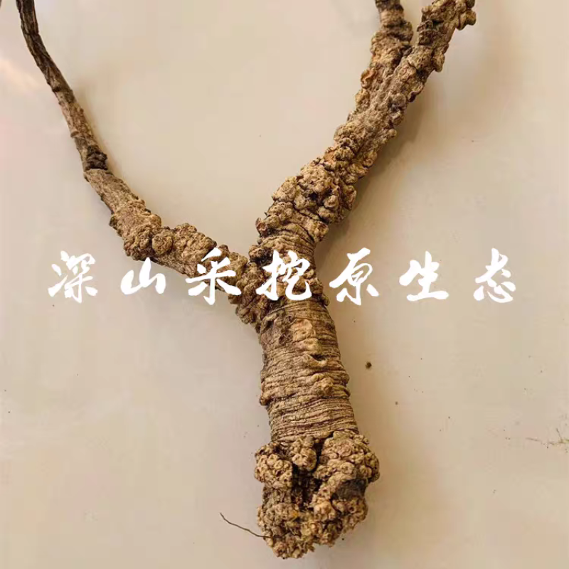 【真野生】甘肃原产地深山正宗特级纹党参手工干货整条