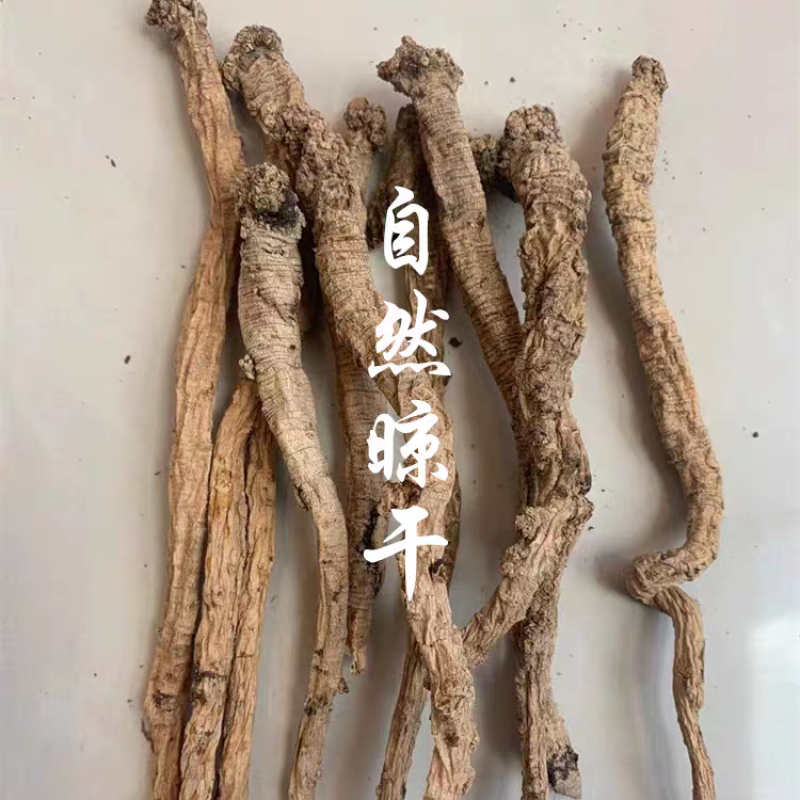 【真野生】甘肃原产地深山正宗特级纹党参手工干货整条