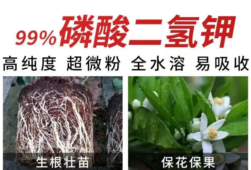 99%磷酸二氢钾保花果提质增产膨果上色增甜补磷钾叶面肥果