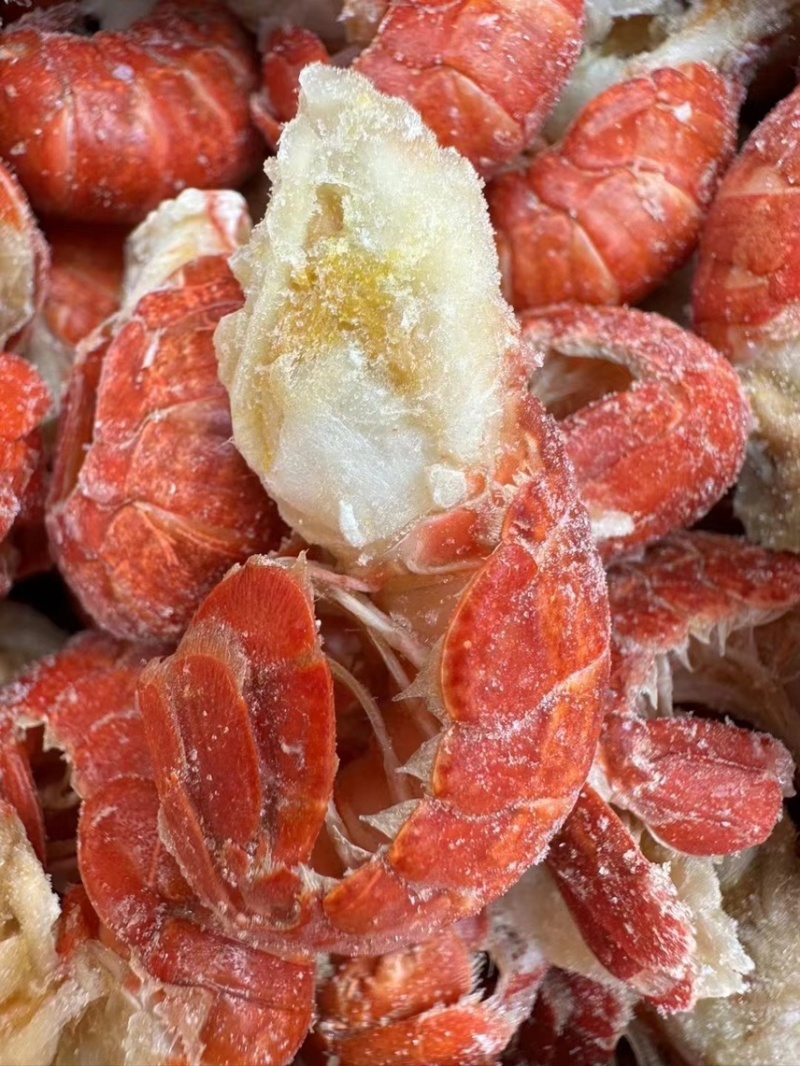 常年供应特级龙虾尾一级虾尾，2级虾尾
