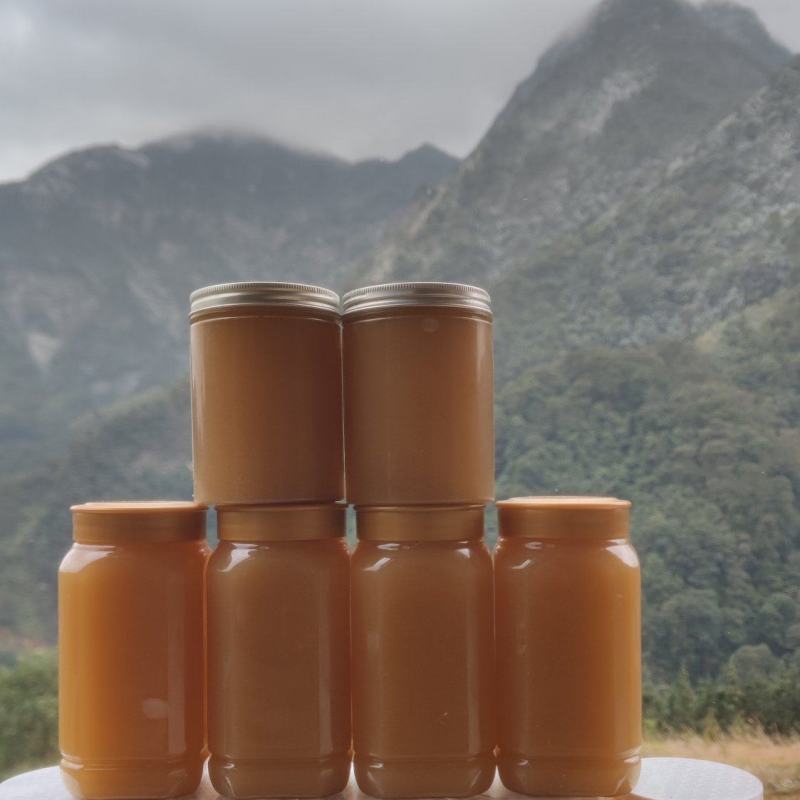 广西融水苗族自治县大苗山野生土蜂蜜百花蜜冬蜜