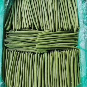 四季豆，小金豆，量大每天可以装几车，有需要的老板联系。