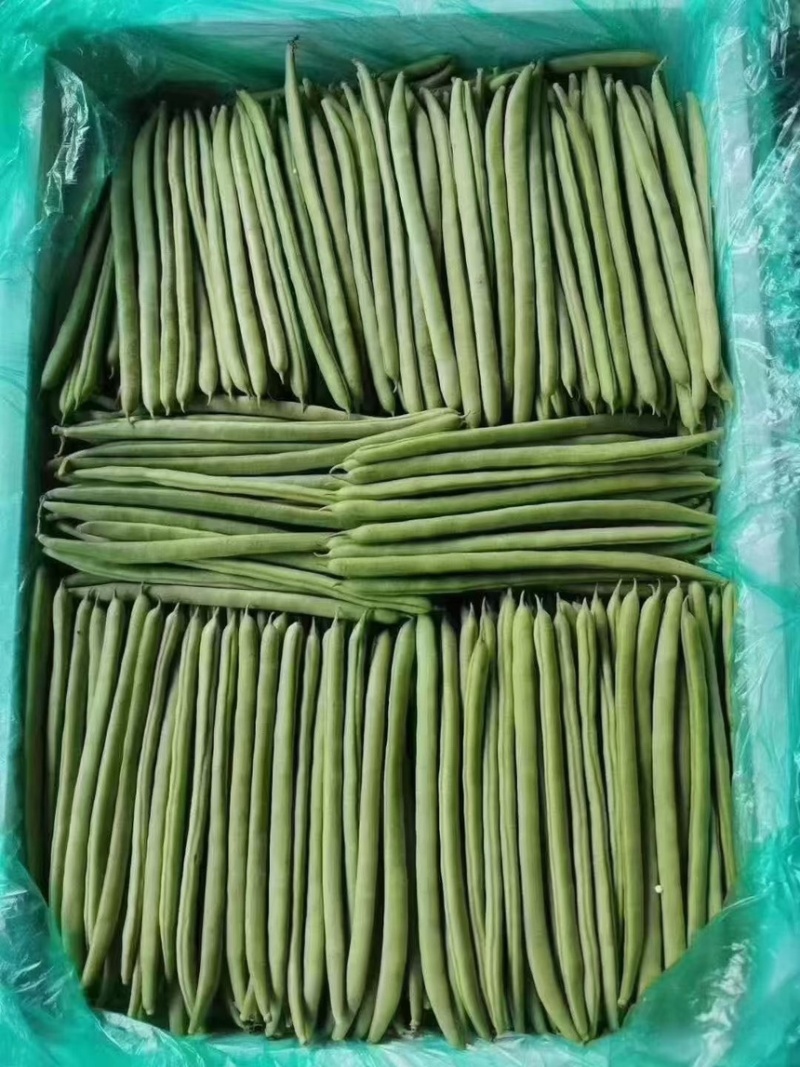四季豆，小金豆，量大每天可以装几车，有需要的老板联系。