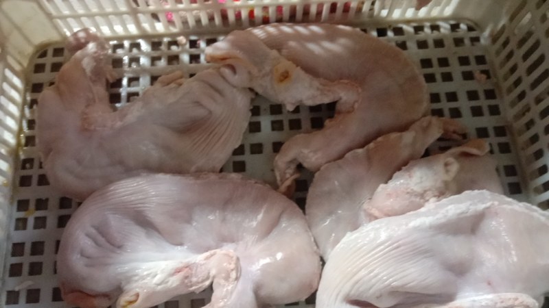 新鲜肥猪去全油大肚