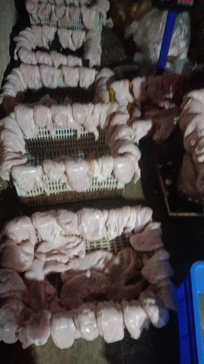 新鲜肥猪去全油大肚