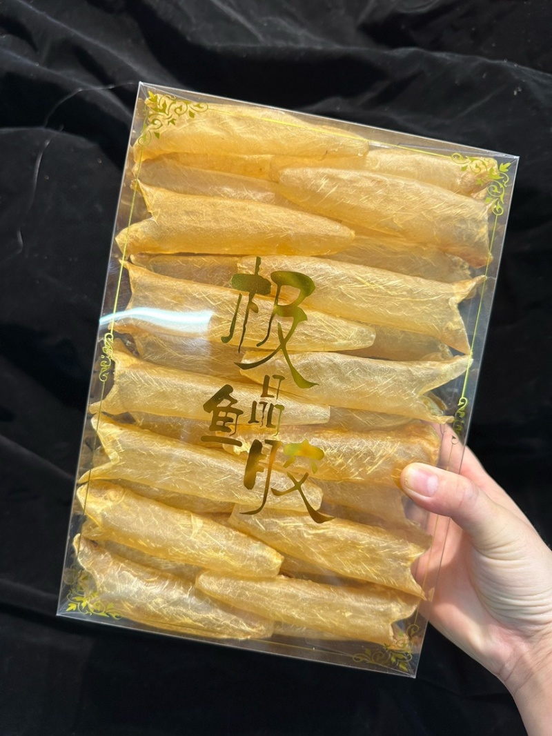 100头黄花胶A货