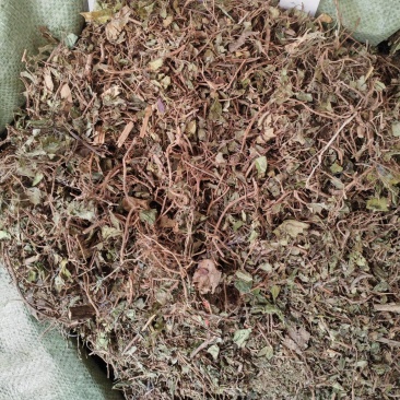 地稔草～新货～切好一公斤起售～要多可以优惠～
