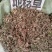地稔草～新货～切好一公斤起售～要多可以优惠～