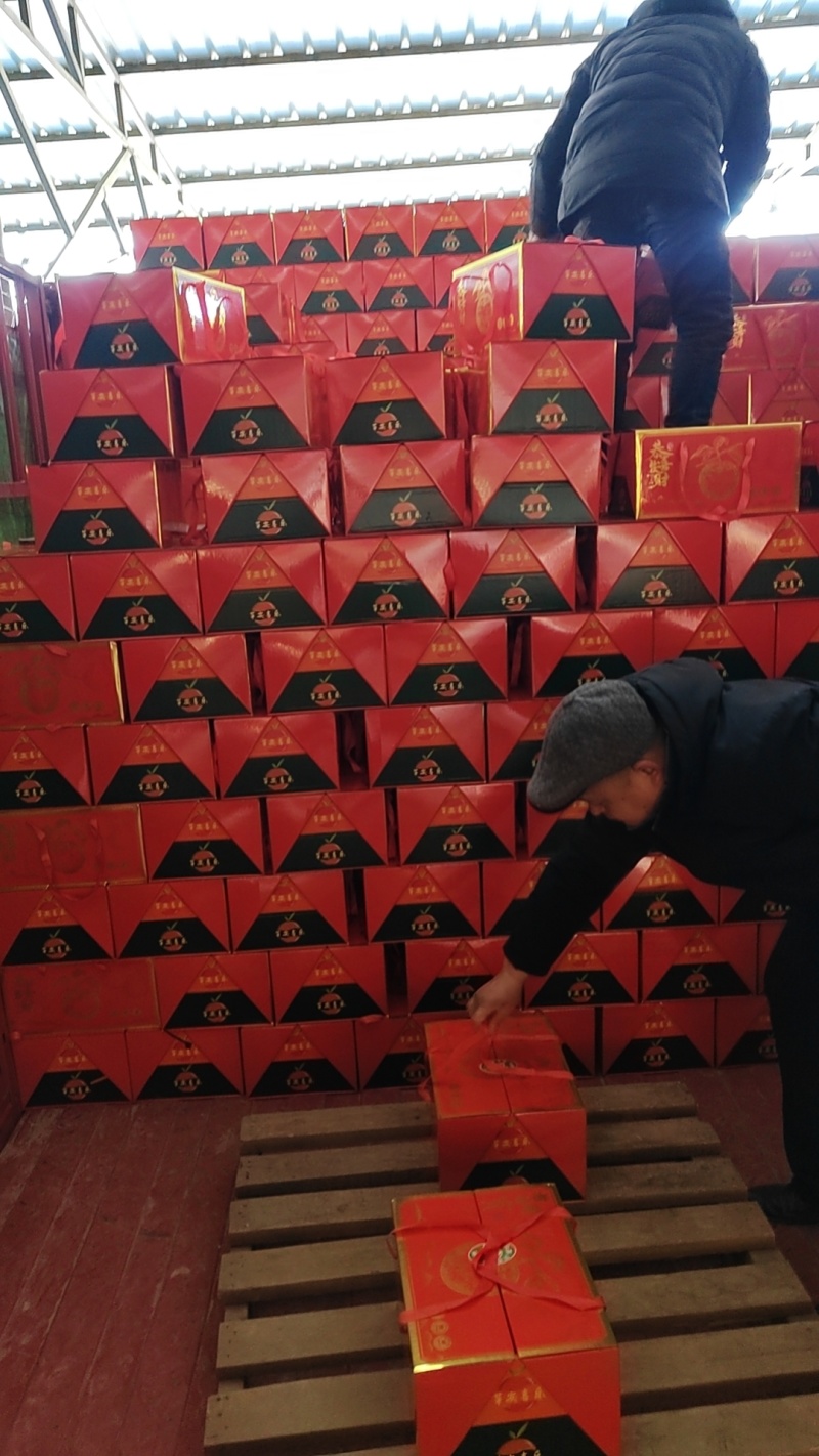 2025年陕西冷库红富士苹果精品苹果对接批发