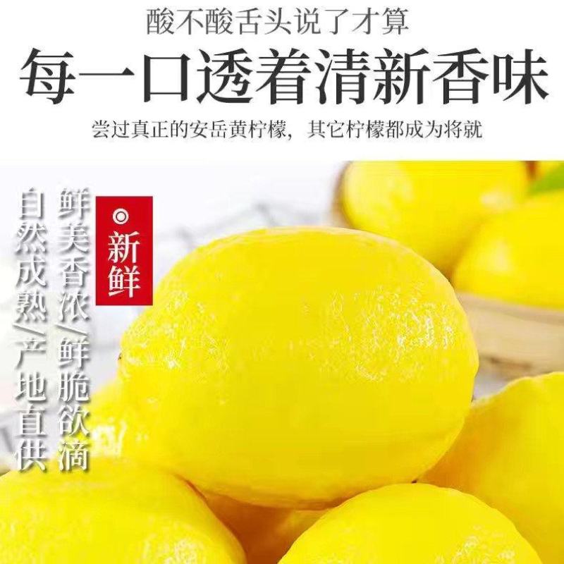 产地直发，实力供货，安岳柠檬，市场精品中果尤力克黄柠檬