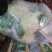 商河优质菜花