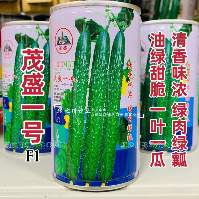 茂盛一号黄瓜种子一叶一瓜密刺油亮型长黄瓜种子绿肉绿瓤青瓜