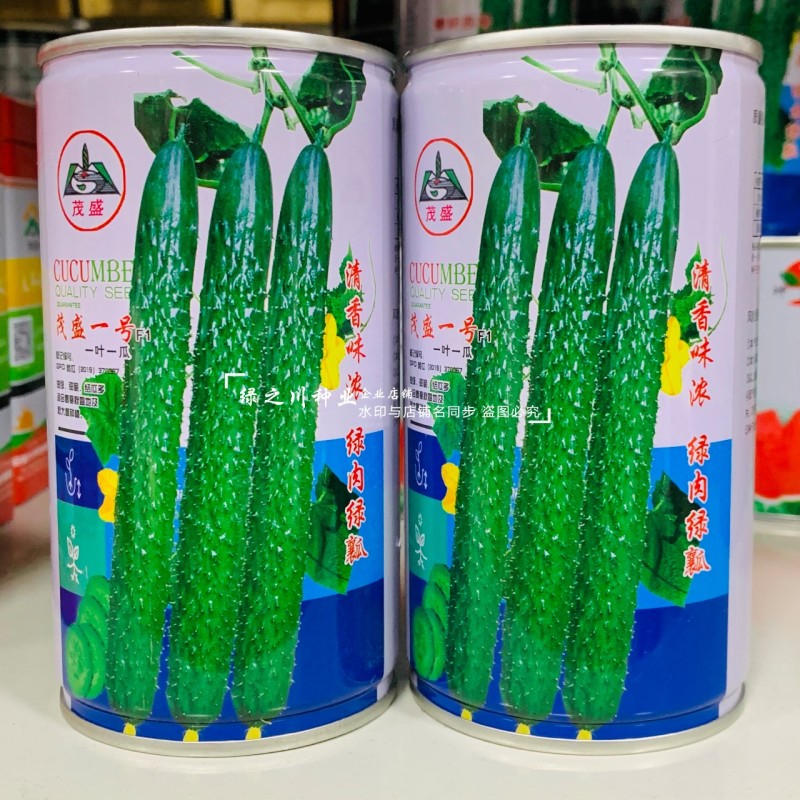 茂盛一号黄瓜种子一叶一瓜密刺油亮型长黄瓜种子绿肉绿瓤青瓜
