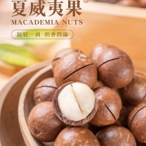 夏威夷果大颗粒夏威夷果新货批发奶香味***健康食品
