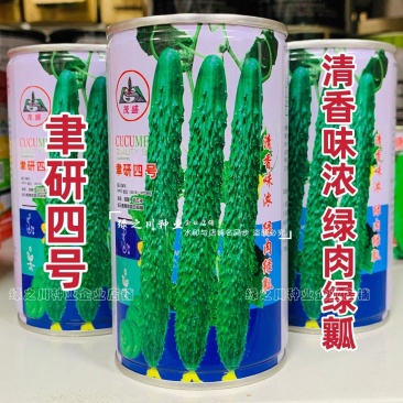 聿研四号黄瓜种子清香味浓绿肉绿瓤长黄瓜种子密刺水黄瓜种子
