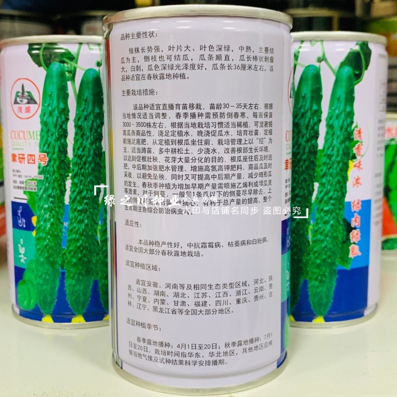 聿研四号黄瓜种子清香味浓绿肉绿瓤长黄瓜种子密刺水黄瓜种子