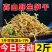 广西竹笋干竹笋丝春笋嫩笋尖新鲜笋干免切干货竹笋干