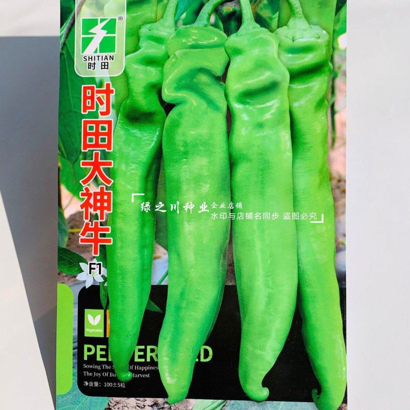 高产神牛大果牛角椒种子庭院小菜园专用辣椒种子牛角辣椒种子