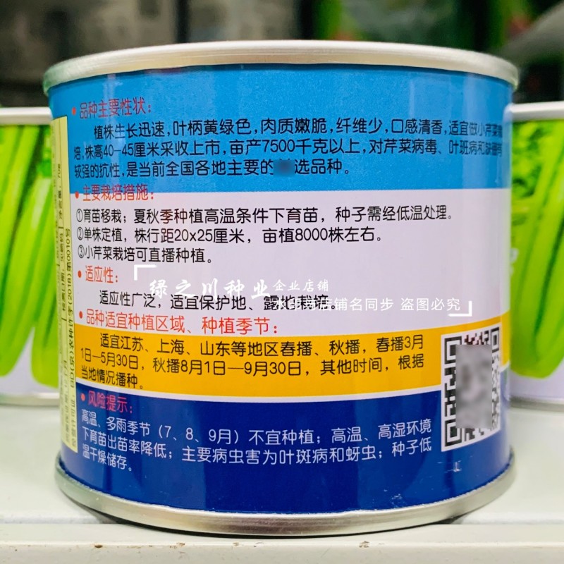 速生四季西芹王芹菜种子四季蔬菜种子清香西芹种子叶柄黄绿