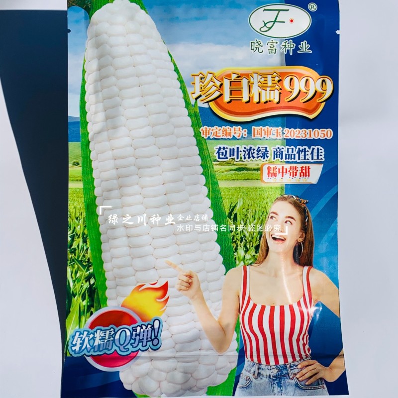 软糯Q弹白粘糯玉米种子晓富珍白糯999玉米种子白色粘玉米