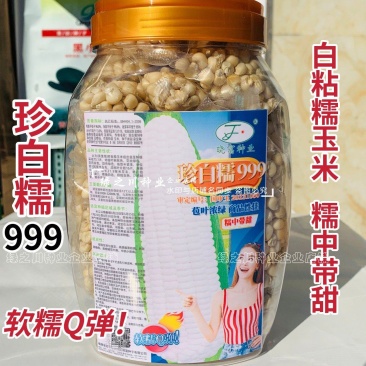 晓富珍白糯999玉米种子大棒穗粘玉米种子白色糯玉米种子