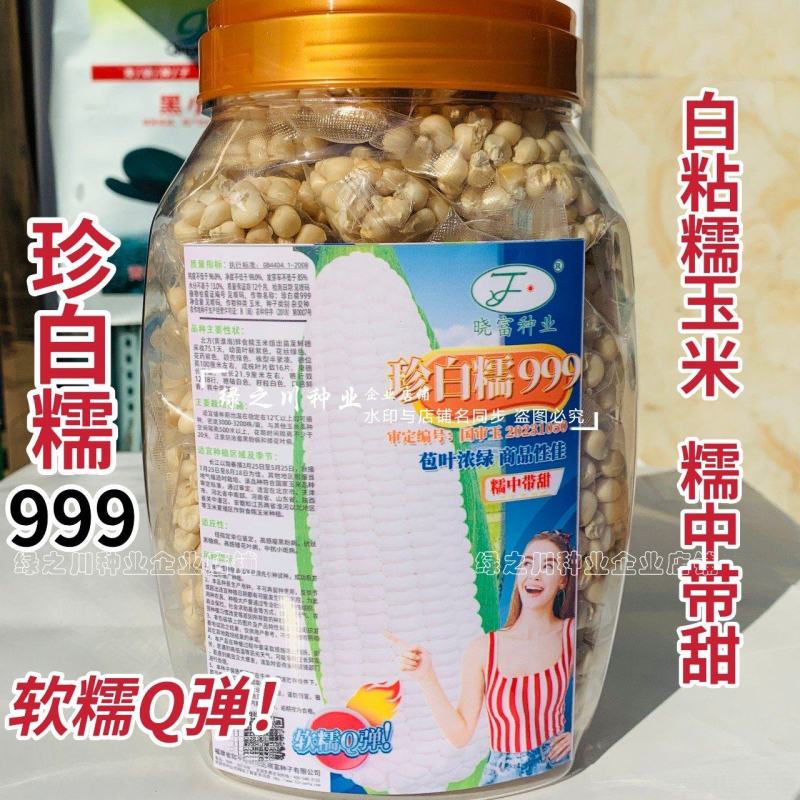 晓富珍白糯999玉米种子大棒穗粘玉米种子白色糯玉米种子