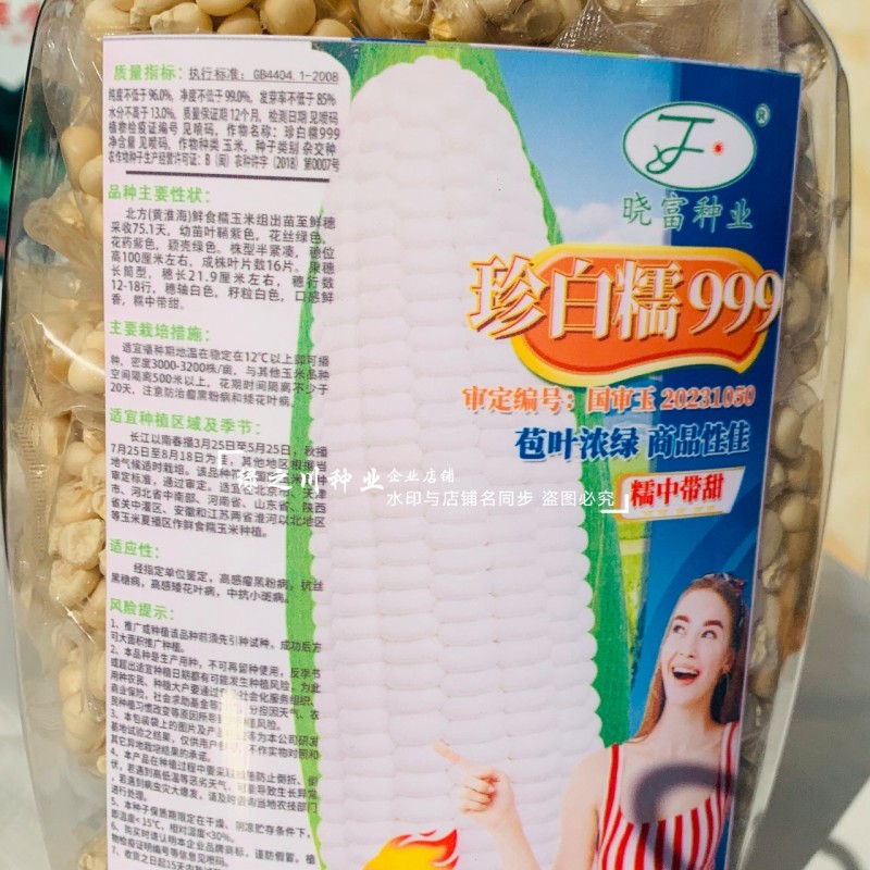 晓富珍白糯999玉米种子大棒穗粘玉米种子白色糯玉米种子