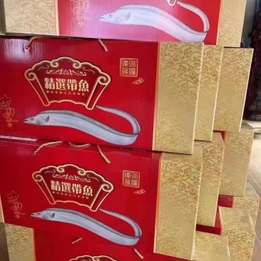 台海大钓带鱼，每条1斤上，精品手提礼盒装，10斤/件包邮